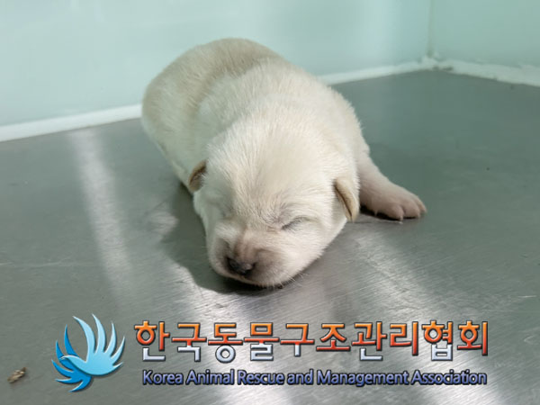종료(자연사) 믹스…